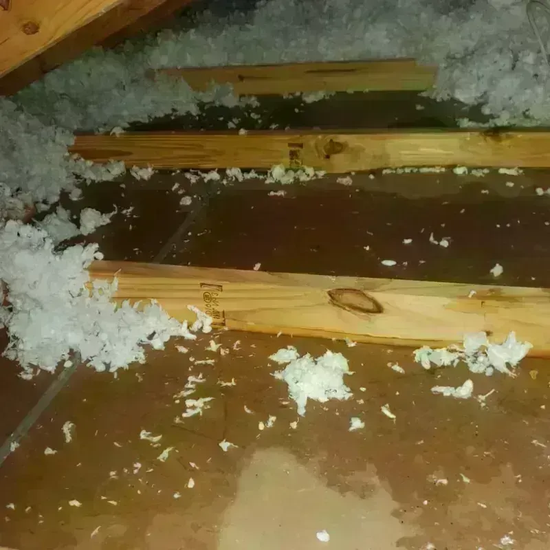 Attic Water Damage in Folkston, GA